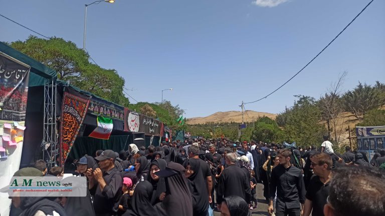 جاماندگان اربعین۲ (۱۶)