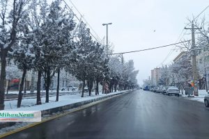 photo23058630545 copy photo23058630545 copy