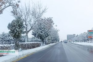 photo23058638125 copy photo23058638125 copy