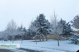 photo23058648976 copy photo23058648976 copy