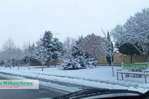 photo23058652337 copy photo23058652337 copy