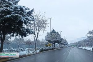 photo23058655410 copy photo23058655410 copy