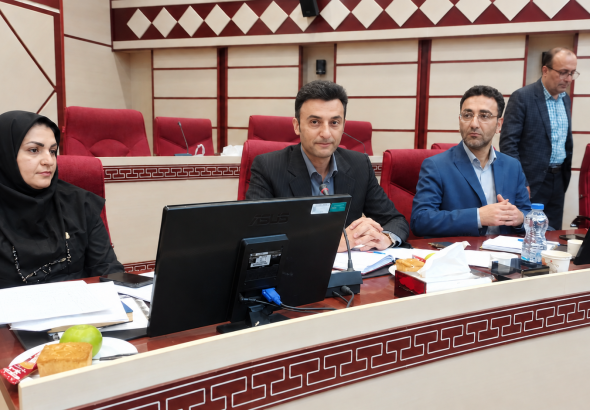 محمدی مشفق